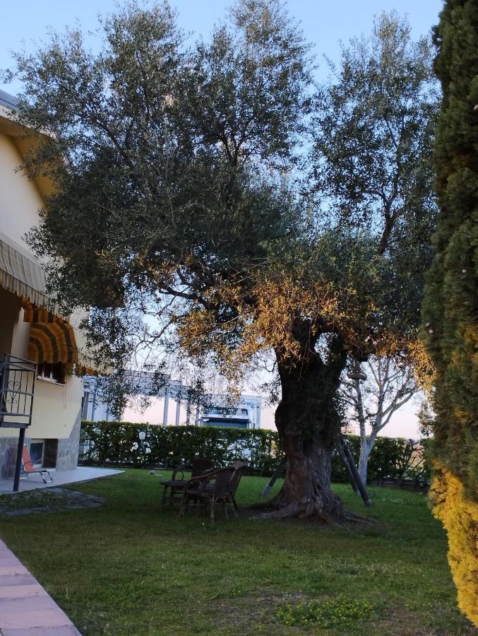 Ferienwohnung Magnolia House Scanzano Jonico Exterior foto