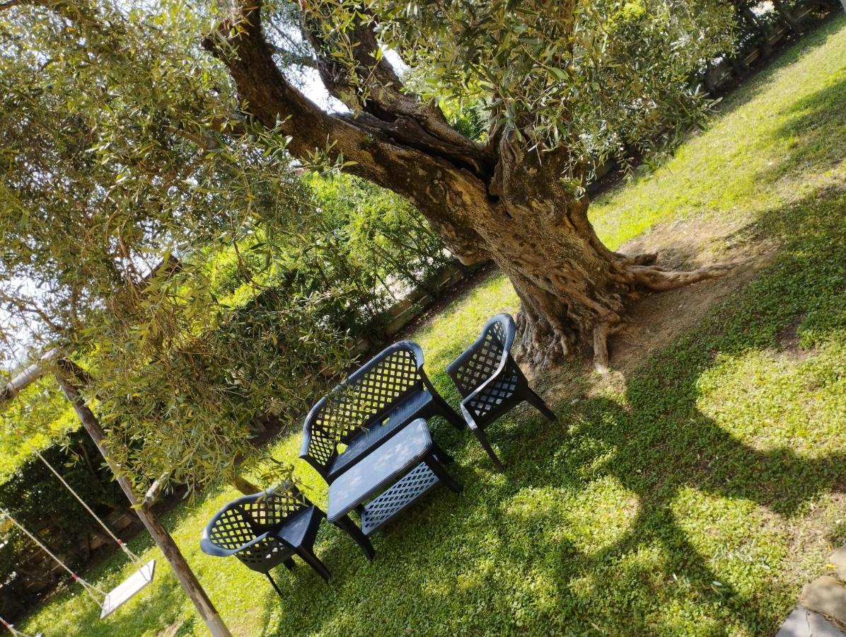 Ferienwohnung Magnolia House Scanzano Jonico Exterior foto